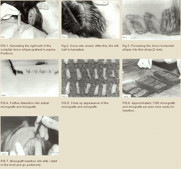 article2 1