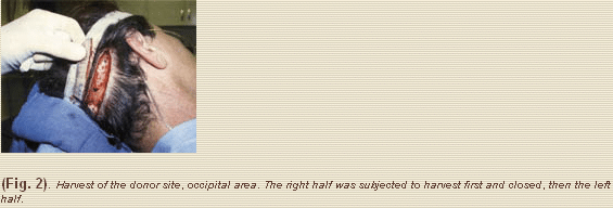 article7 2