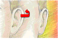 Ear Surgery Houston TX | Otoplasty Surgery The Woodlands